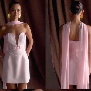 Meshki Strapless Mini Dress Orellia